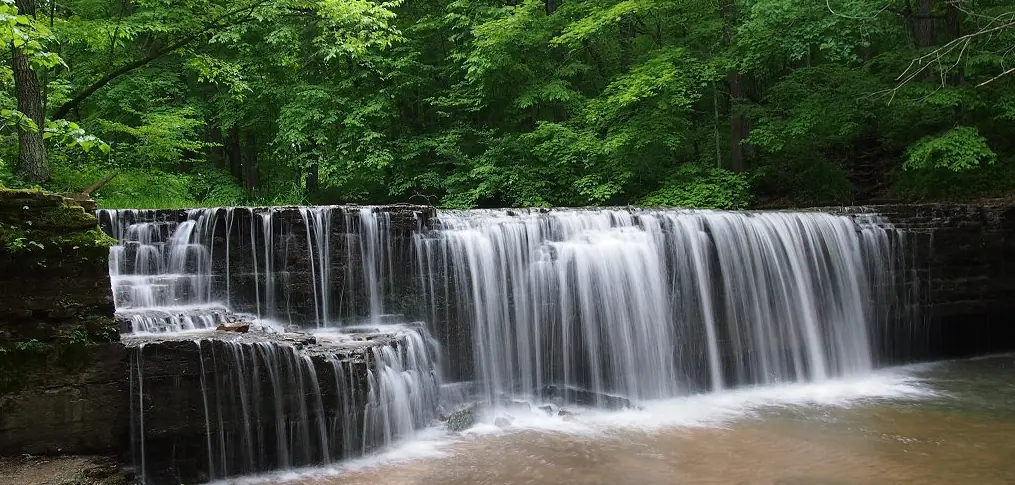 Hidden Falls waterfall surrounded by forest at Nerstrand Big Woods State Park