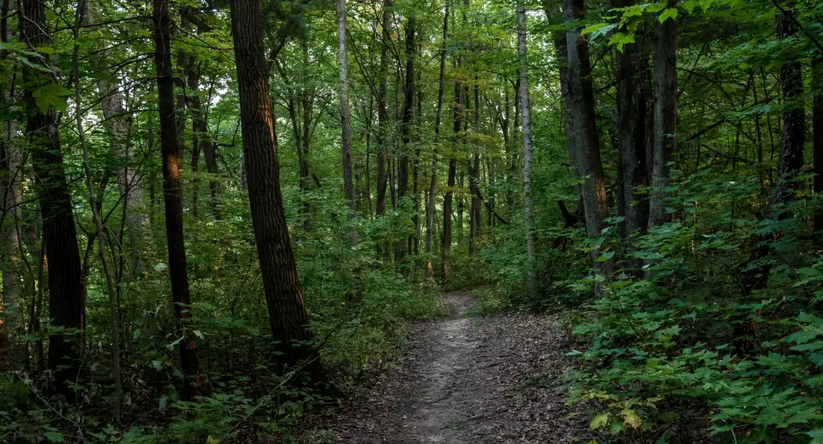 Murphy-Hanrehan Park Reserve - Hiking Trails