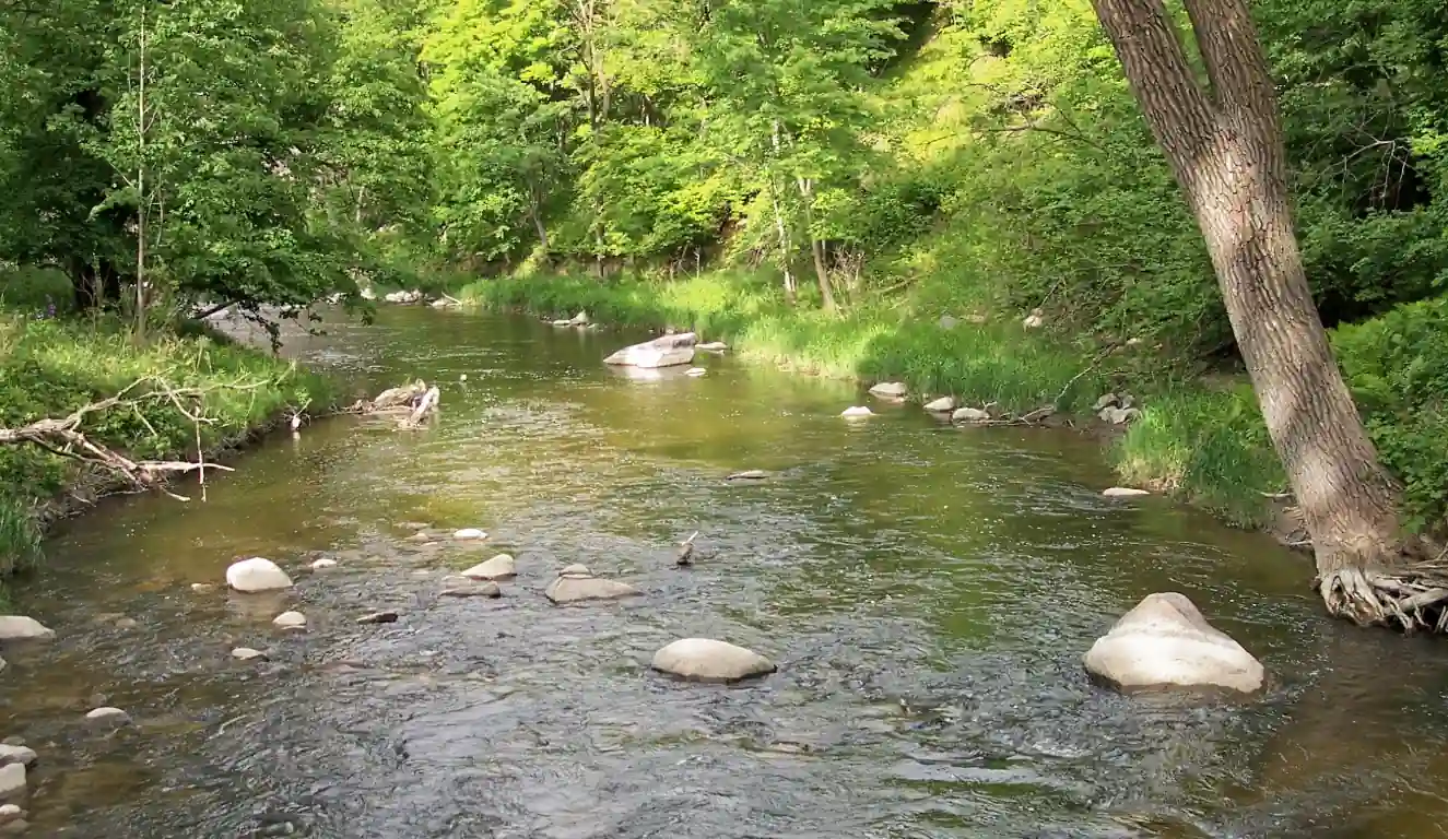 Camden State Park - Redwood River Trail