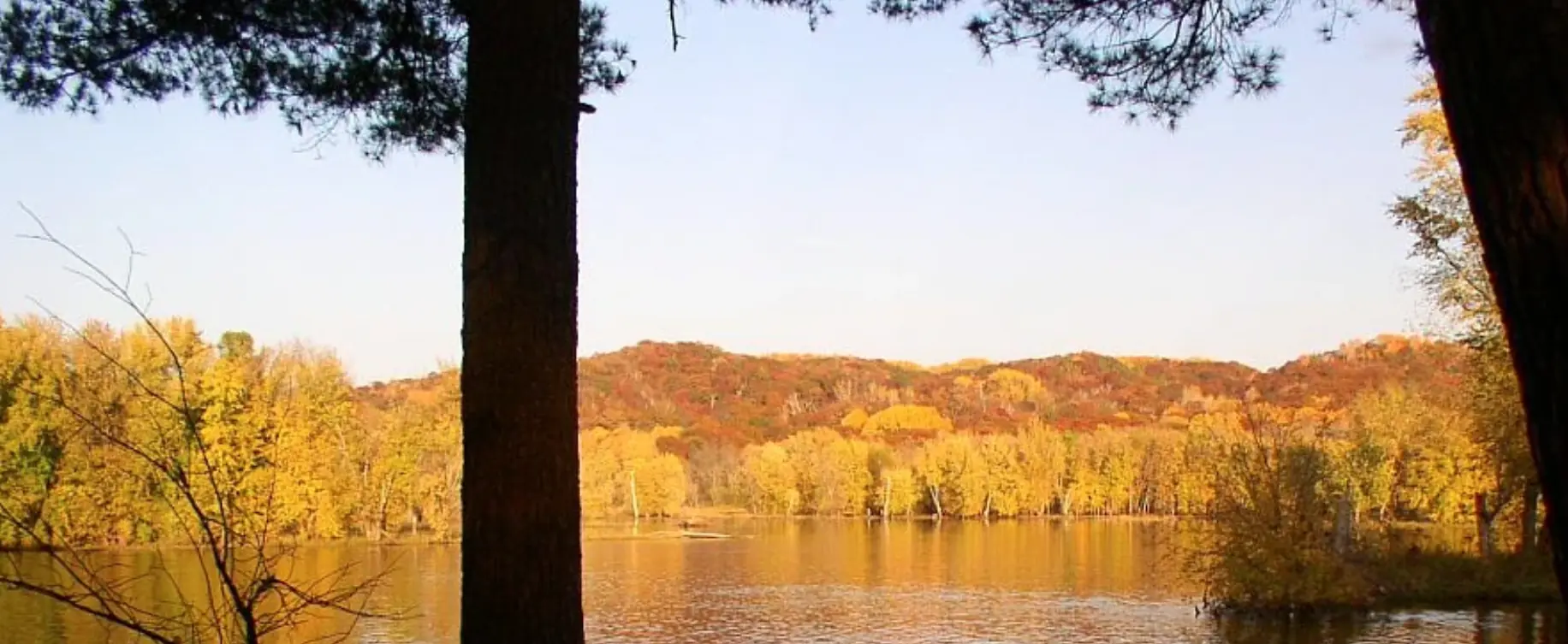 William O'Brien State Park - Riverside Trail